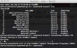 diskutilterminal2.jpg