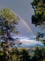 Mtn Rainbow Steve.jpg