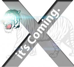 tiger-design.jpg