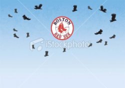 istockphoto_7481982-vultures-circling-overhead.jpg