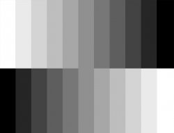 Gray_Scale_1280x1024.jpg