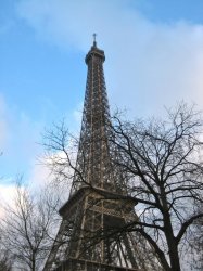 EiffelWinter.jpg