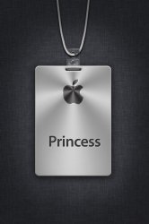 princess iPhone iCloud Nametag.jpg