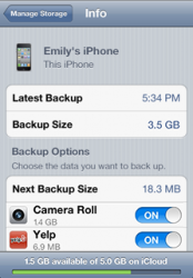 HT4859_1-icloud-ios-manage_storage-002-en.png