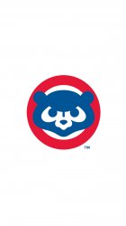 cubs1.jpg