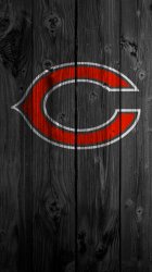 chicago-bears-1.jpg