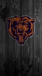 chicago-bears-2.jpg