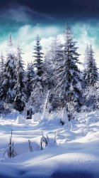 winter-apple-mac-wallpaper-1136x640.jpeg