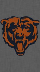Bears-Logo-GrayLinen-2.jpg
