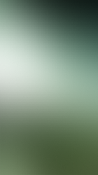 Green blur.png