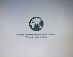 311095-lion-internet-recovery.jpg