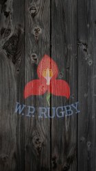 WP Rugby 02.jpg