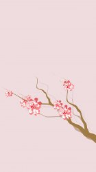 Flower Cherry 02.jpg