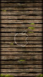 Apple Plank.jpg