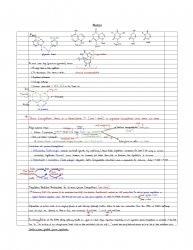 BiochemFinalReview_BMB4210.jpg