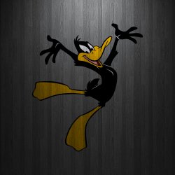 Daffy 01.jpg