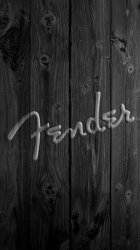 Fender 02.jpg