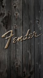 Fender 04.jpg