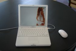 12" iBook G4 - Table Resize.jpg