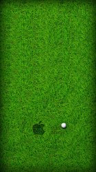 Golf 01.jpg