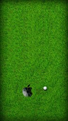 Apple Golf Cup.jpg
