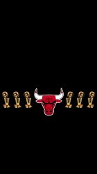 Bulls Trophys.jpg