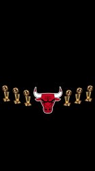 Bulls Trophys 02.jpg