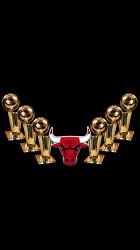 Bulls Trophys 03.jpg