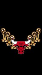 Bulls Trophys 04.jpg