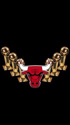 Bulls Trophys 05.jpg