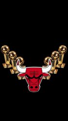 Bulls Trophys 06.jpg