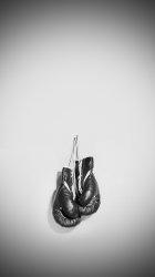 Boxing Gloves.jpg