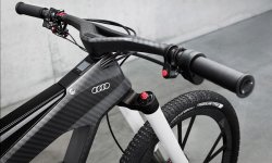 Audi-e-bike-worthersee.jpg