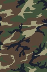 camouflage_3000x1500_wallpaper_Wallpaper_640x960_www.wall321.com.jpg