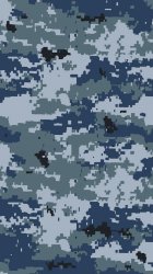 Navy Camo 01.jpg