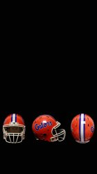 Florida Gators 01.jpg