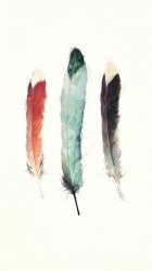 Feathers.JPG