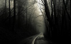 creepy road.jpg