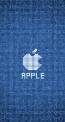 Apple blue squares.jpg