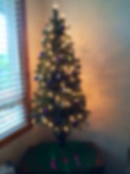 Tree-Blurred.jpg