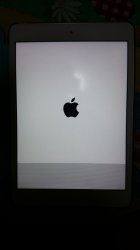 iPad Mini Problem.jpg