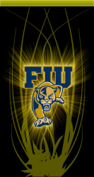 fiu.png