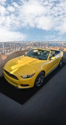 Mustang 03.jpg