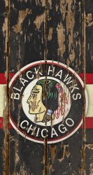 Blackhawks WD iPhone 03.jpg