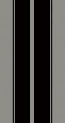 Silver Black Stripes.jpg