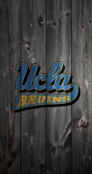 UCLA 01.jpg