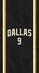 Dallas Stars 01.jpg