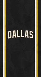 Dallas Stars 02.jpg