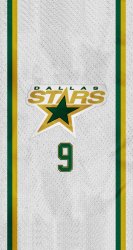 Dallas Stars 03.jpg
