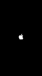 Apple plus 01.jpg
